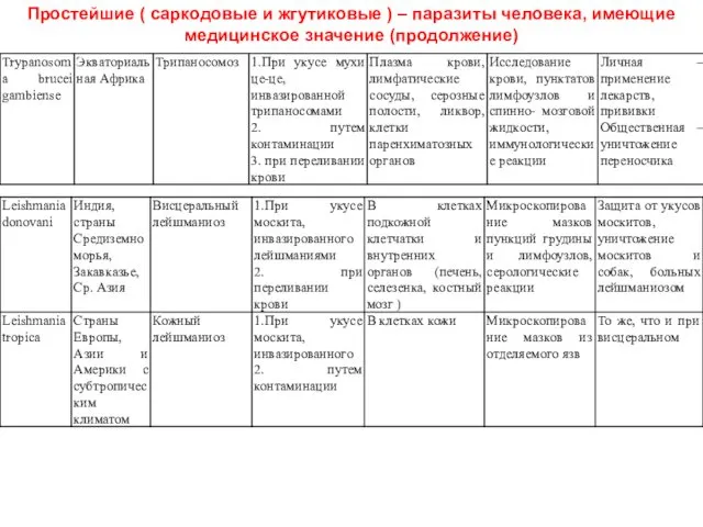 Простейшие ( саркодовые и жгутиковые ) – паразиты человека, имеющие медицинское значение (продолжение)