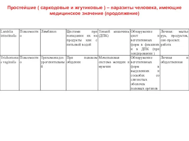 Простейшие ( саркодовые и жгутиковые ) – паразиты человека, имеющие медицинское значение (продолжение)