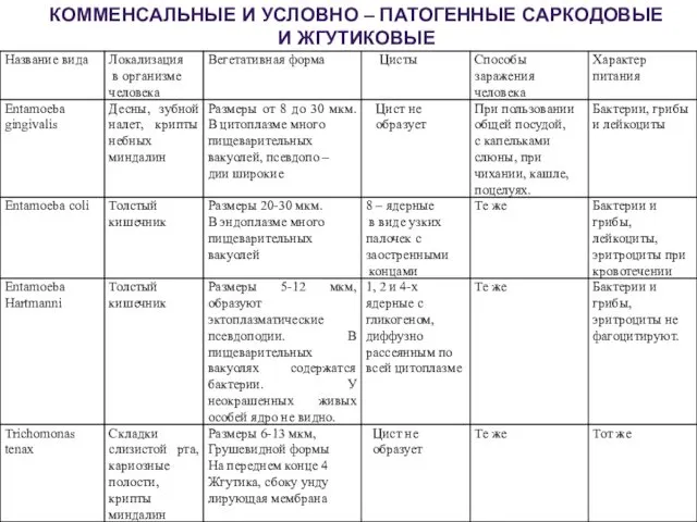 КОММЕНСАЛЬНЫЕ И УСЛОВНО – ПАТОГЕННЫЕ САРКОДОВЫЕ И ЖГУТИКОВЫЕ