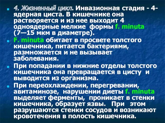 4. Жизненный цикл. Инвазионная стадия - 4-ядерная циста. В кишечнике