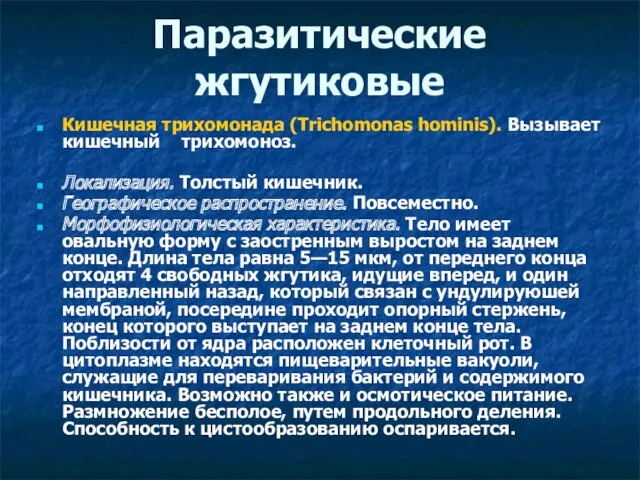 Паразитические жгутиковые Кишечная трихомонада (Trichomonas hominis). Вызывает кишечный трихомоноз. Локализация.