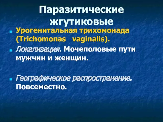 Паразитические жгутиковые Урогенитальная трихомонада (Trichomonas vaginalis). Локализация. Мочеполовые пути мужчин и женщин. Географическое распространение. Повсеместно.