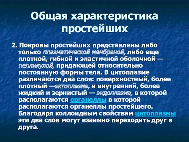 Общая характеристика простейших 2. Покровы простейших представлены либо только плазматической