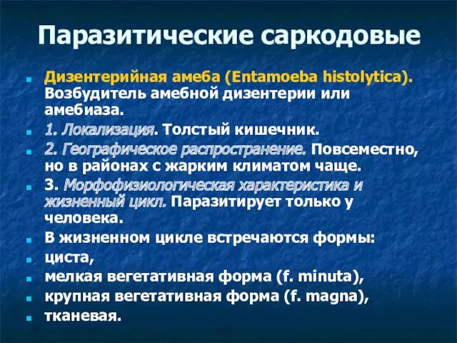 Паразитические саркодовые Дизентерийная амеба (Entamoeba histolytica). Возбудитель амебной дизентерии или