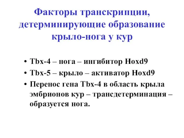 Факторы транскрипции, детерминирующие образование крыло-нога у кур Tbx-4 – нога