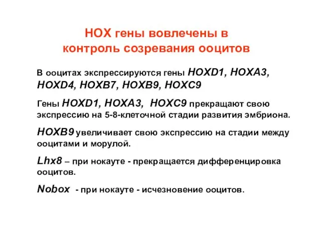 HOX гены вовлечены в контроль созревания ооцитов В ооцитах экспрессируются