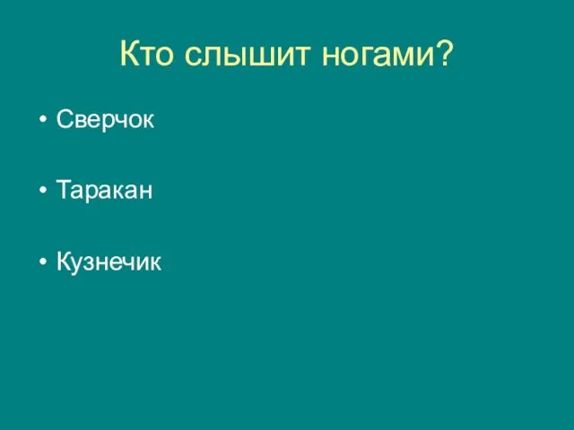 Кто слышит ногами? Сверчок Таракан Кузнечик