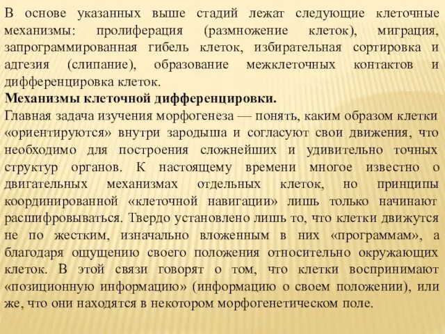 В основе указанных выше стадий лежат следующие клеточные механизмы: пролиферация (размножение клеток), миграция,