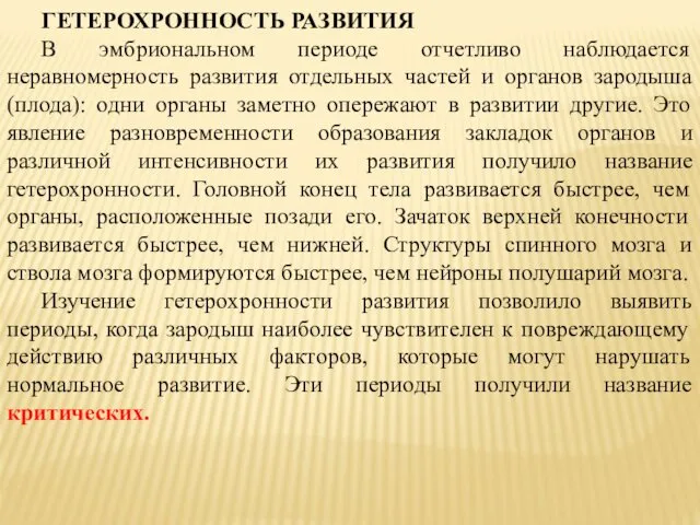 ГЕТЕРОХРОННОСТЬ РАЗВИТИЯ В эмбриональном периоде отчетливо наблюдается неравномерность развития отдельных