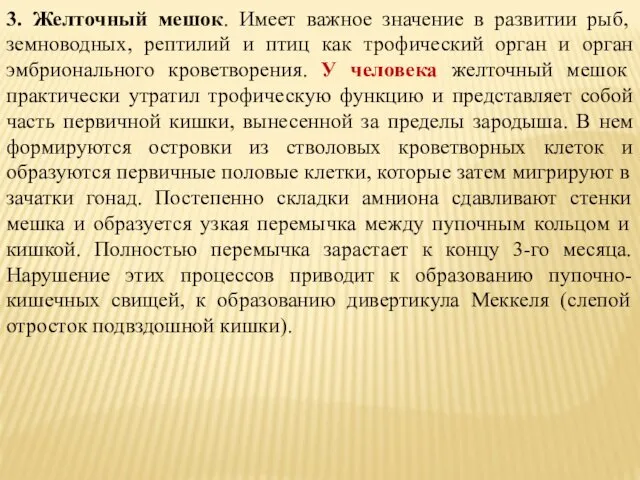 3. Желточный мешок. Имеет важное значение в развитии рыб, земноводных, рептилий и птиц