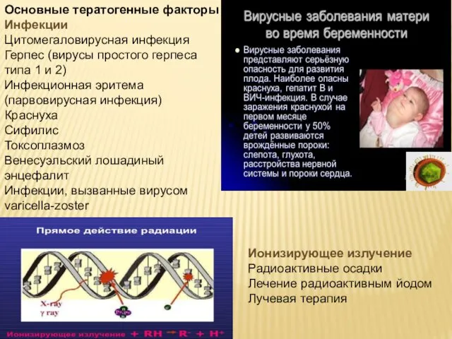 Основные тератогенные факторы Инфекции Цитомегаловирусная инфекция Герпес (вирусы простого герпеса