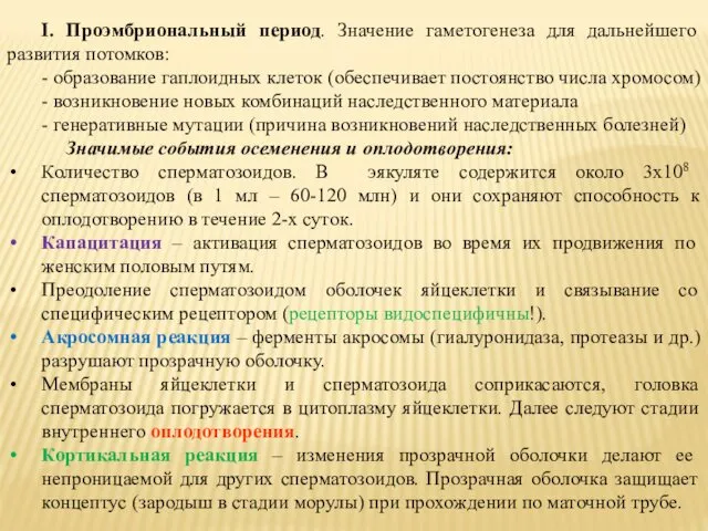 I. Проэмбриональный период. Значение гаметогенеза для дальнейшего развития потомков: - образование гаплоидных клеток