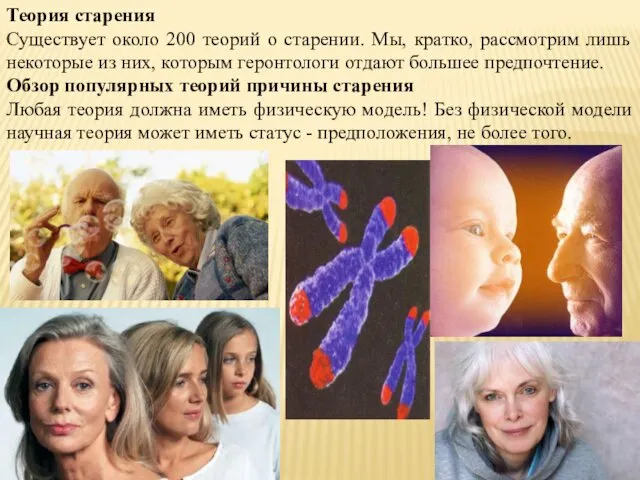 Теория старения Существует около 200 теорий о старении. Мы, кратко, рассмотрим лишь некоторые