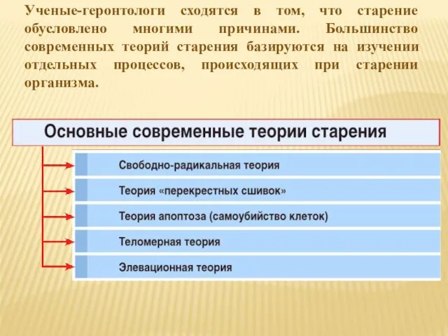 Ученые-геронтологи сходятся в том, что старение обусловлено многими причинами. Большинство