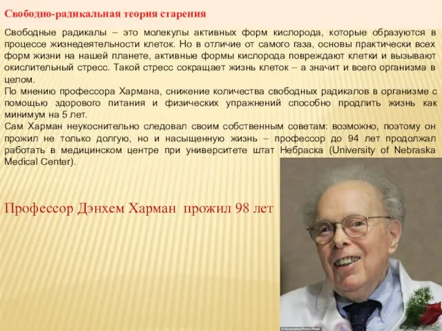 Свободно-радикальная теория старения Свободные радикалы – это молекулы активных форм кислорода, которые образуются