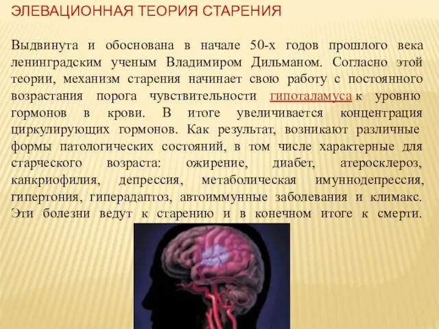 ЭЛЕВАЦИОННАЯ ТЕОРИЯ СТАРЕНИЯ Выдвинута и обоснована в начале 50-х годов прошлого века ленинградским