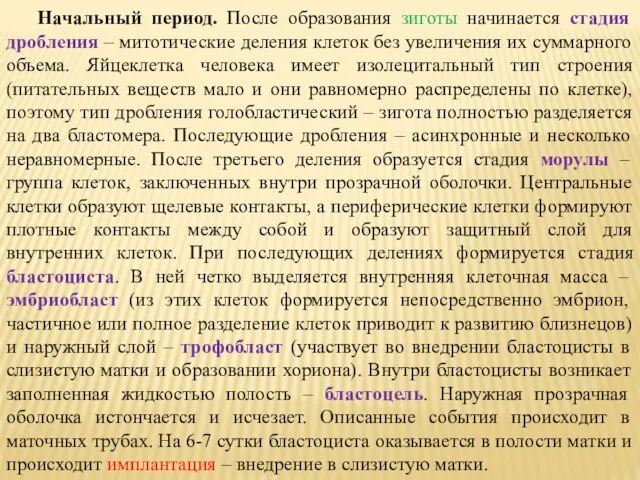 Начальный период. После образования зиготы начинается стадия дробления – митотические деления клеток без