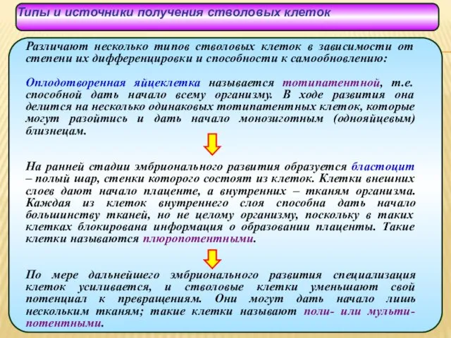 Типы и источники получения стволовых клеток Различают несколько типов стволовых клеток в зависимости