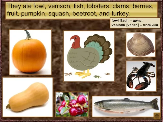 They ate fowl, venison, fish, lobsters, clams, berries, fruit, pumpkin, squash, beetroot, and