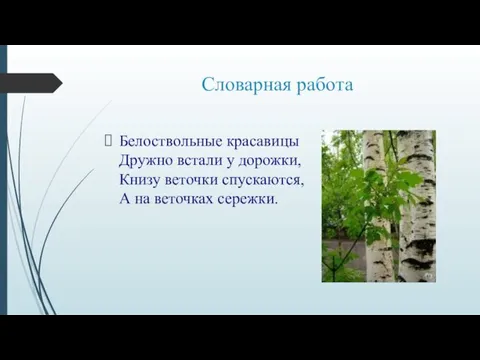 Словарная работа Белоствольные красавицы Дружно встали у дорожки, Книзу веточки спускаются, А на веточках сережки.