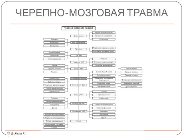 ЧЕРЕПНО-МОЗГОВАЯ ТРАВМА © Добыш С.А.