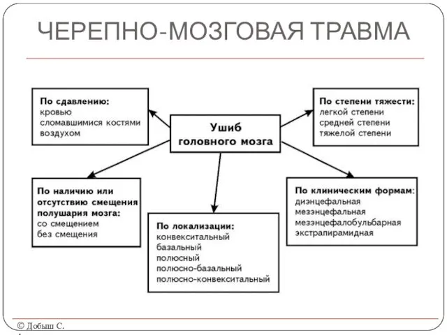 ЧЕРЕПНО-МОЗГОВАЯ ТРАВМА © Добыш С.А.