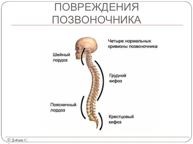 ПОВРЕЖДЕНИЯ ПОЗВОНОЧНИКА © Добыш С.А.