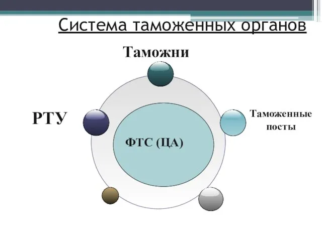 Система таможенных органов