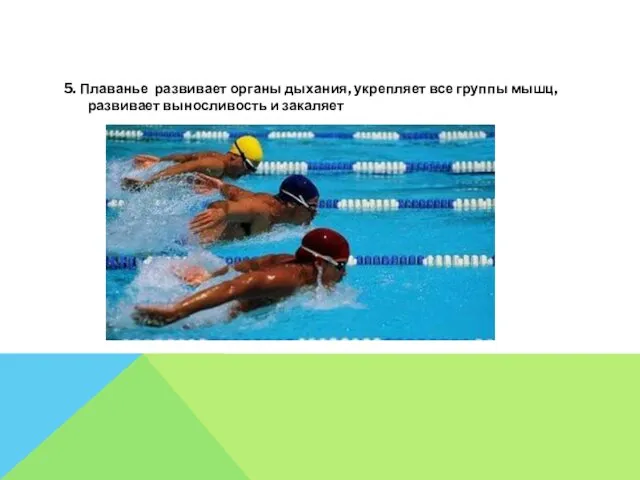 5. Плаванье развивает органы дыхания, укрепляет все группы мышц, развивает выносливость и закаляет