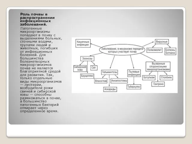Роль почвы в распространении инфекционных заболеваний. Патогенные микроорганизмы попадают в