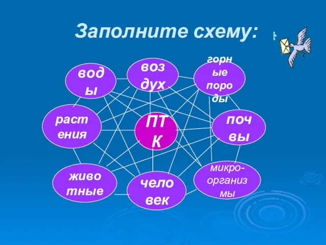 Заполните схему: ПТК воздух горные породы почвы микро- организмы человек животные растения воды