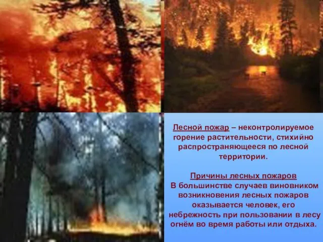 Лесной пожар – неконтролируемое горение растительности, стихийно распространяющееся по лесной территории. Причины лесных