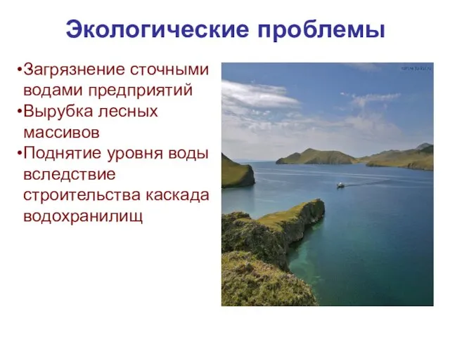 Экологические проблемы . Загрязнение сточными водами предприятий Вырубка лесных массивов