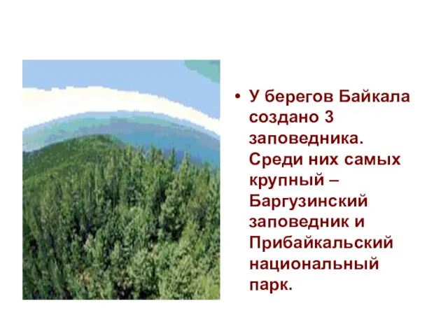 У берегов Байкала создано 3 заповедника. Среди них самых крупный –Баргузинский заповедник и Прибайкальский национальный парк.