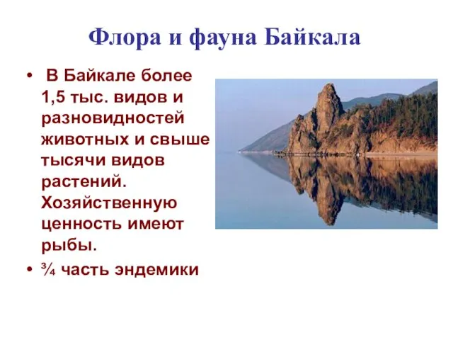 В Байкале более 1,5 тыс. видов и разновидностей животных и