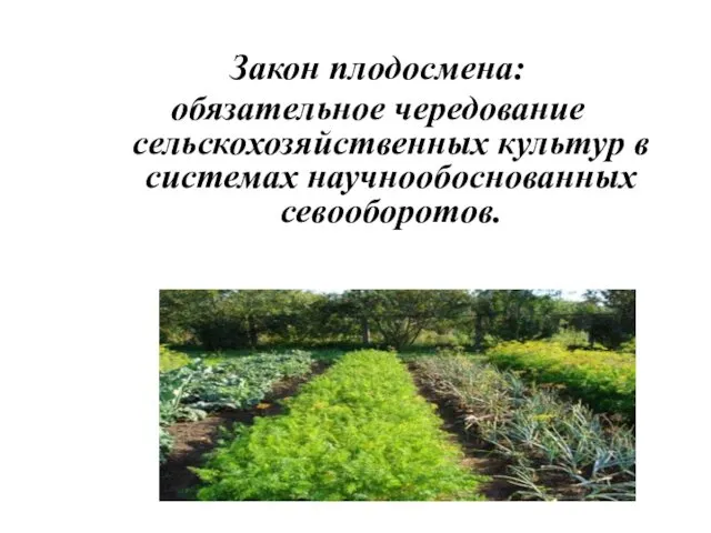 Закон плодосмена: обязательное чередование сельскохозяйственных культур в системах научнообоснованных севооборотов.