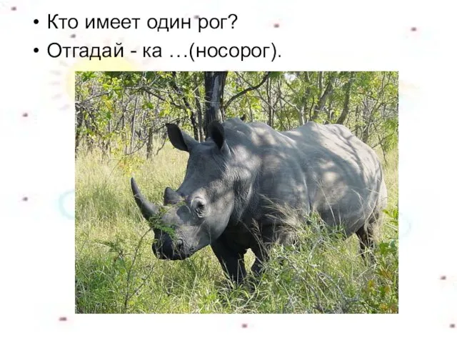 Кто имеет один рог? Отгадай - ка …(носорог).