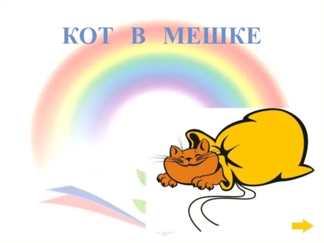 КОТ В МЕШКЕ