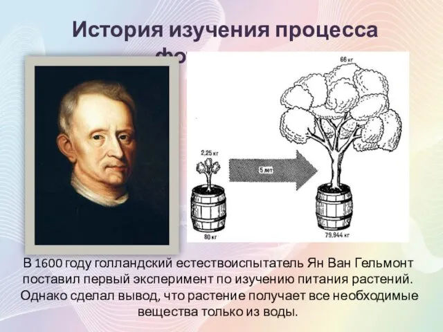 История изучения процесса фотосинтеза В 1600 году голландский естествоиспытатель Ян Ван Гельмонт поставил