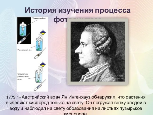 История изучения процесса фотосинтеза 1779 г.- Австрийский врач Ян Ингенхауз обнаружил, что растения