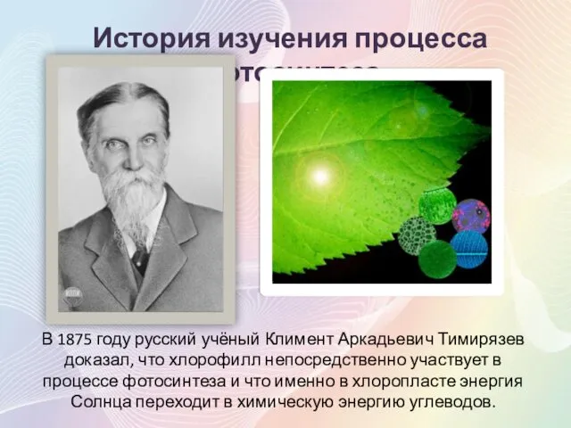 В 1875 году русский учёный Климент Аркадьевич Тимирязев доказал, что хлорофилл непосредственно участвует