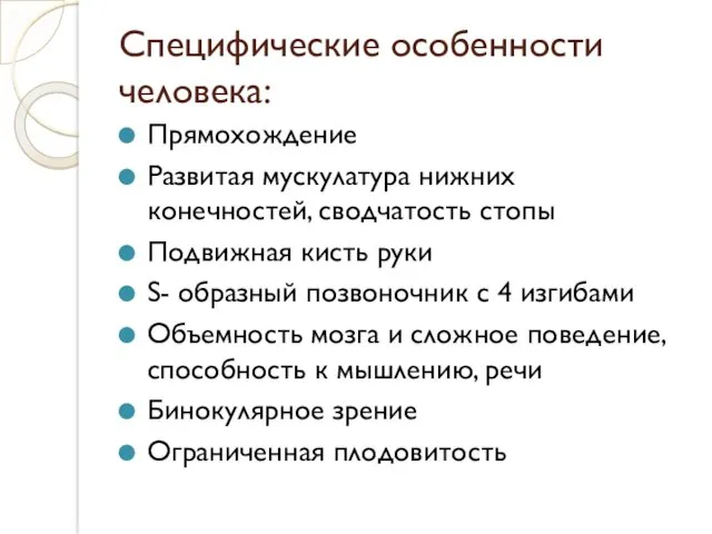 Специфические особенности человека: Прямохождение Развитая мускулатура нижних конечностей, сводчатость стопы