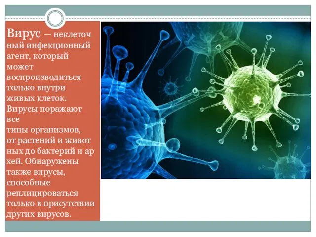 Вирус — неклеточный инфекционный агент, который может воспроизводиться только внутри