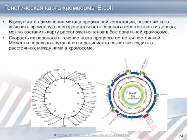 Генетическая карта хромосомы E.coli В результате применения метода прерванной коньюгации,