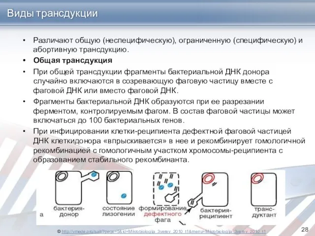 Виды трансдукции Различают общую (неспецифическую), ограниченную (специфическую) и абортивную трансдукцию.