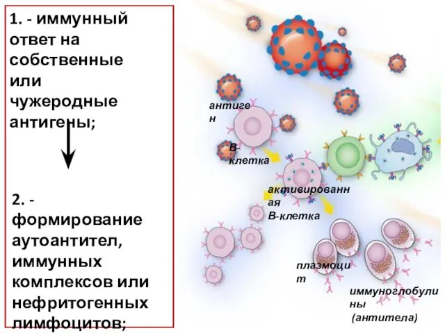 1. - иммунный ответ на собственные или чужеродные антигены; 2.
