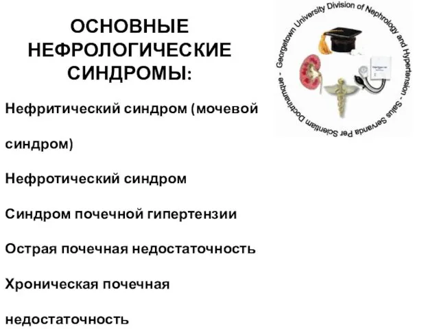 ОСНОВНЫЕ НЕФРОЛОГИЧЕСКИЕ СИНДРОМЫ: Нефритический синдром (мочевой синдром) Нефротический синдром Синдром