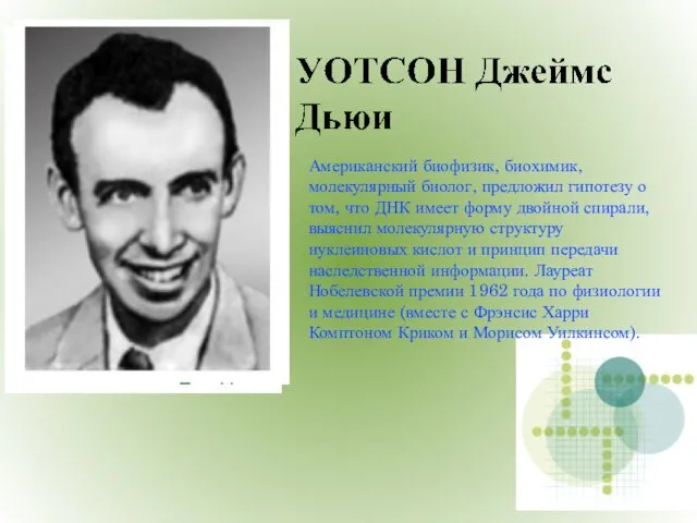 Американский биофизик, биохимик, молекулярный биолог, предложил гипотезу о том, что