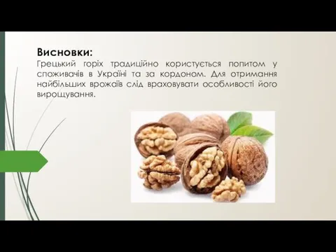 Висновки: Грецький горіх традиційно користується попитом у споживачів в Україні та за кордоном.