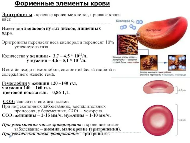 Форменные элементы крови Эритроциты - красные кровяные клетки, придают крови цвет. Имеет вид